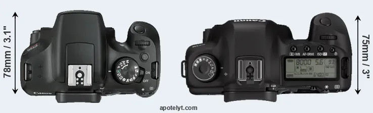 Compare 1300D versus 5D Mark II top