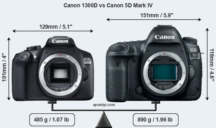 Size Canon 1300D vs Canon 5D Mark IV