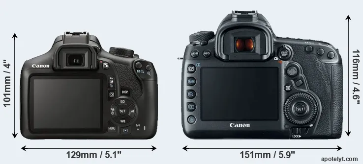 Comparison 1300D or 5D Mark IV rear
