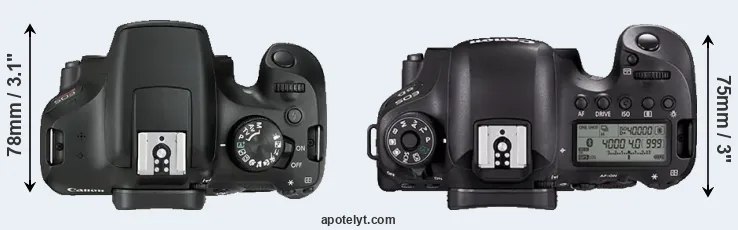 Compare 1300D versus 6D Mark II top