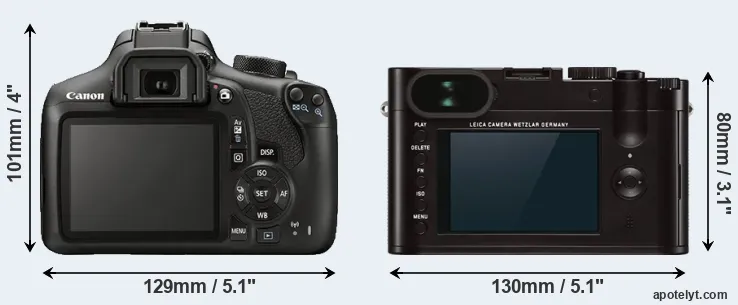 Comparison 1300D or Q Typ 116 rear