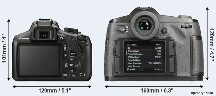 Comparison 1300D or S-E Typ 006 rear