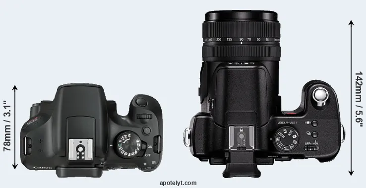 Compare 1300D versus V-LUX 1 top