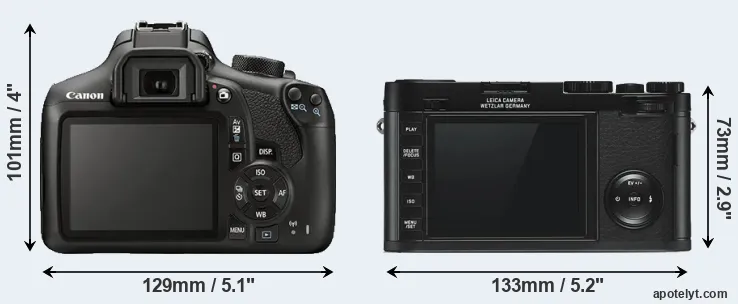 Comparison 1300D or X Typ 113 rear