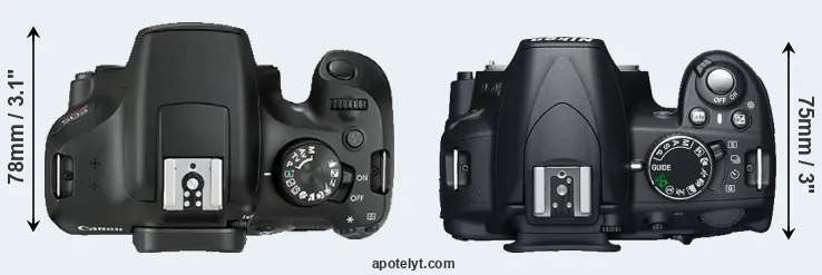 Compare 1300D versus D3100 top