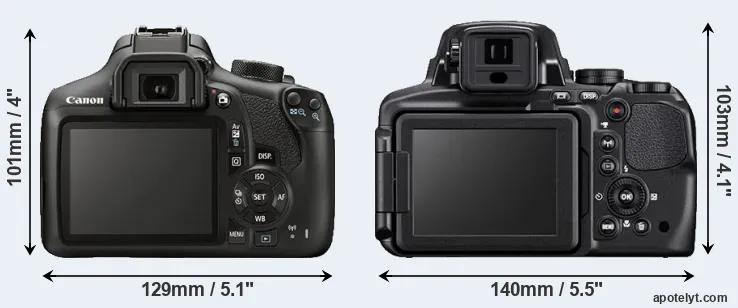 Comparison 1300D or P900 rear