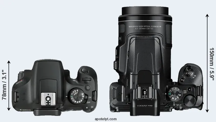 Compare 1300D versus P950 top