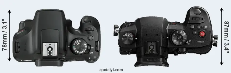 Compare 1300D versus GH5s top