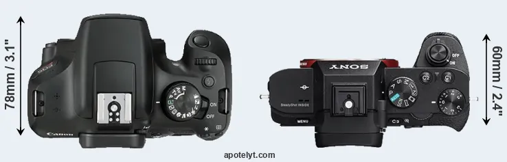 Compare 1300D versus A7 II top