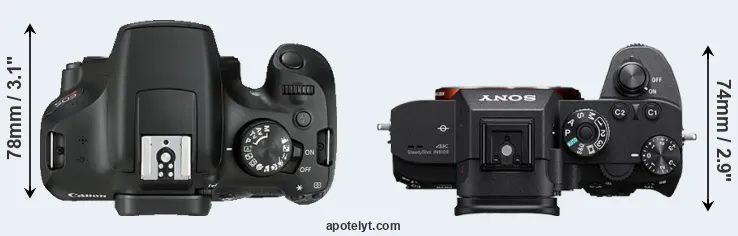 Compare 1300D versus A7R III top