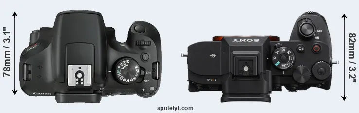 Compare 1300D versus A7R V top