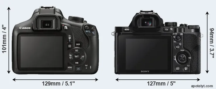 Comparison 1300D or A7S rear