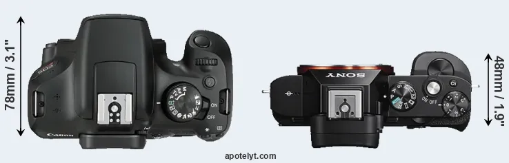 Compare 1300D versus A7S top