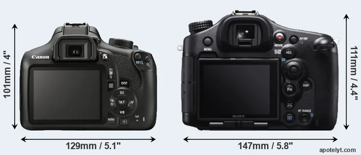 Comparison 1300D or A99 rear