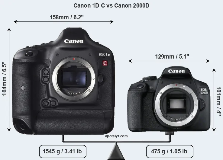 Size Canon 1D C vs Canon 2000D