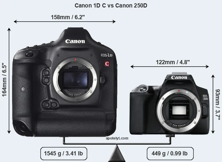 Size Canon 1D C vs Canon 250D