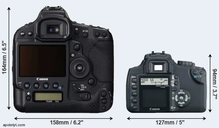 Comparison 1DC or 350D rear