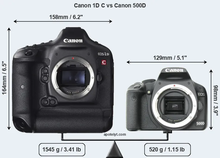 Size Canon 1D C vs Canon 500D