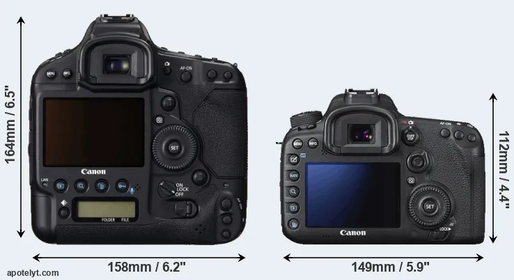 Comparison 1DC or 7D Mark II rear