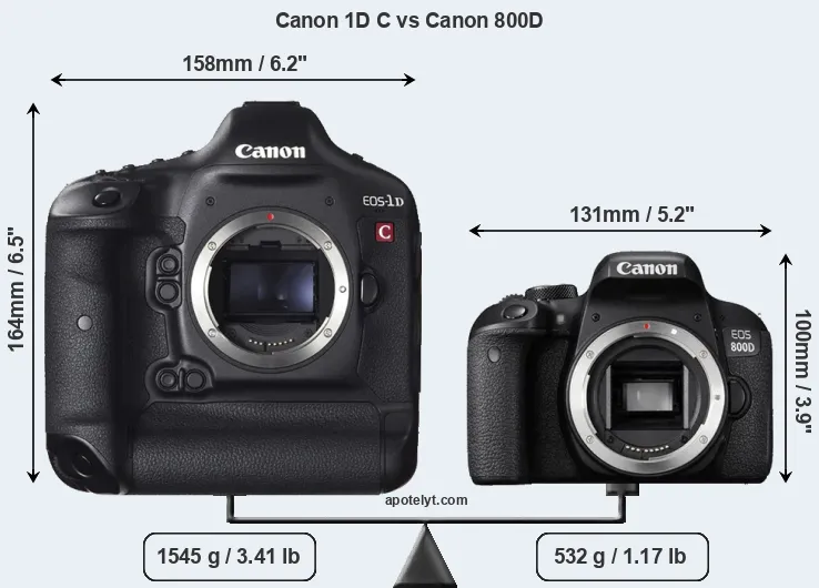 Size Canon 1D C vs Canon 800D