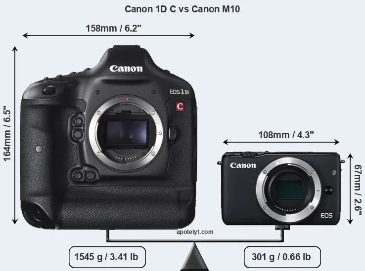 Size Canon 1D C vs Canon M10