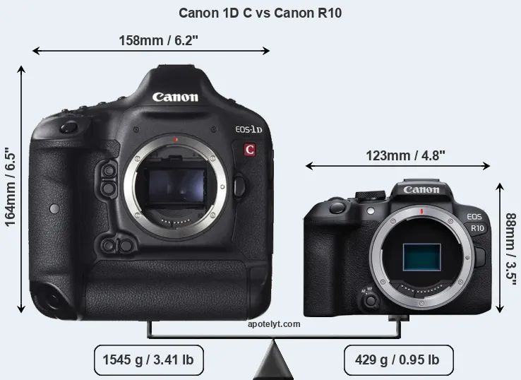 Size Canon 1D C vs Canon R10