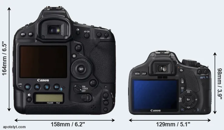 Comparison 1DC or T2i rear