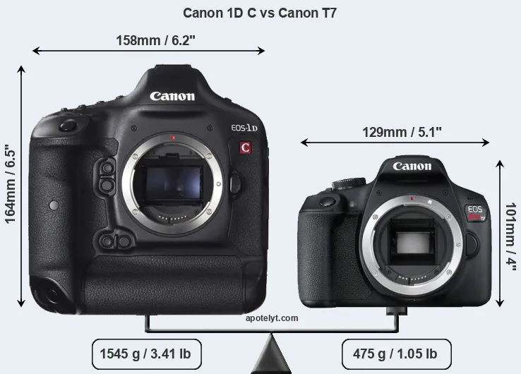 Size Canon 1D C vs Canon T7