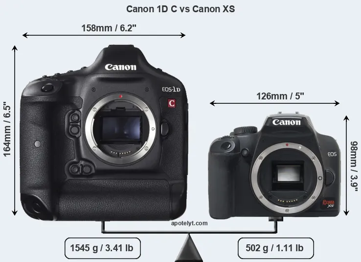Size Canon 1D C vs Canon XS
