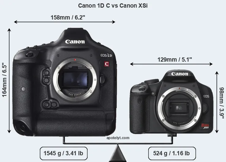 Size Canon 1D C vs Canon XSi
