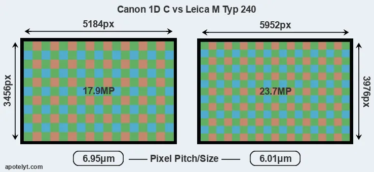 1DC versus M Typ 240 MP