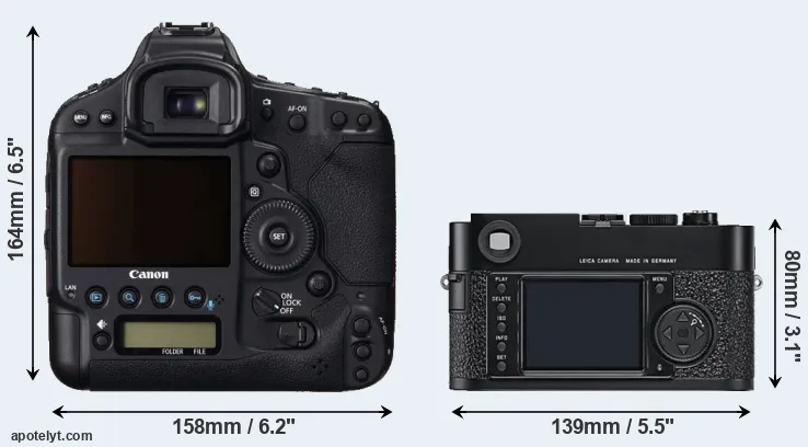 Comparison 1DC or M9 rear