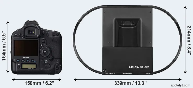 Comparison 1DC or S1 rear