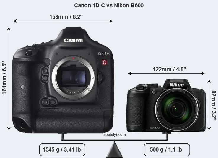 Size Canon 1D C vs Nikon B600