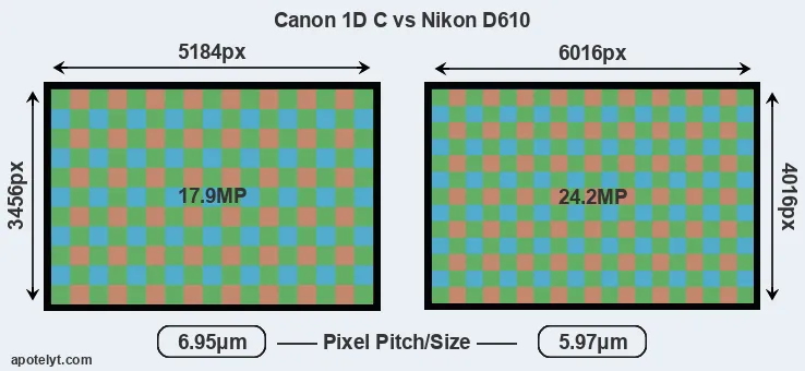 1DC versus D610 MP