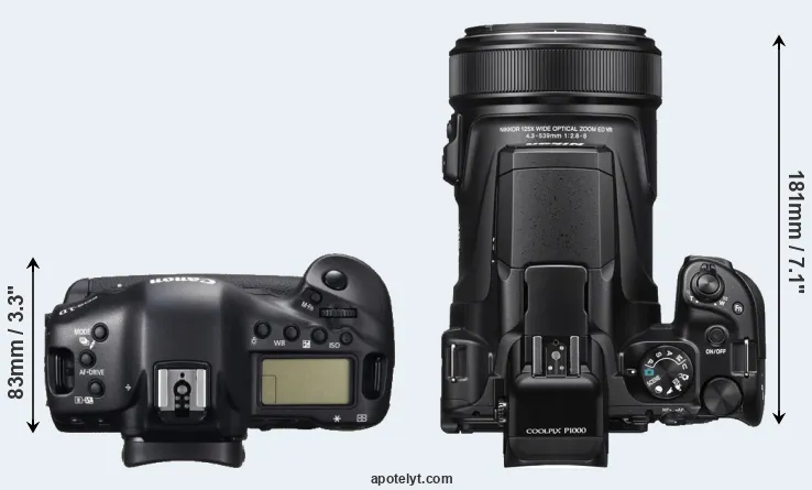 Compare 1DC versus P1000 top