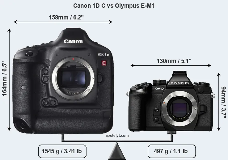 Size Canon 1D C vs Olympus E-M1