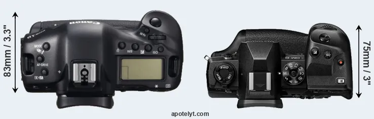 Compare 1DC versus E-M1X top