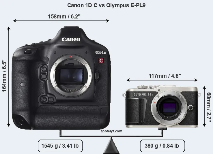 Size Canon 1D C vs Olympus E-PL9
