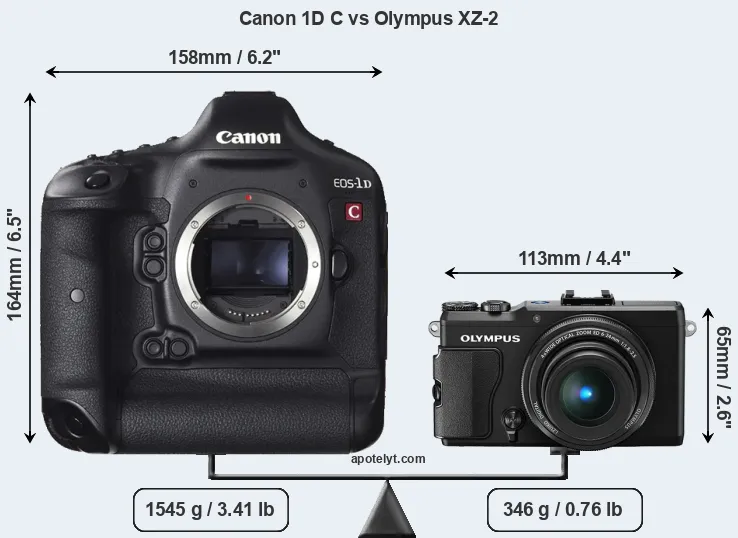 Size Canon 1D C vs Olympus XZ-2
