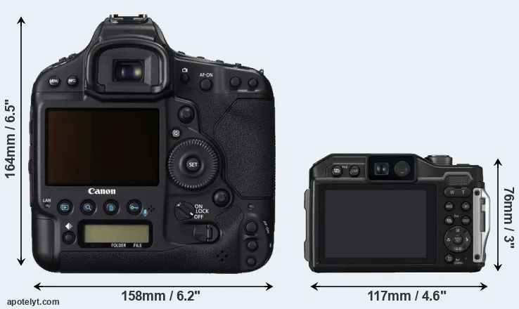 Comparison 1DC or FT7 rear