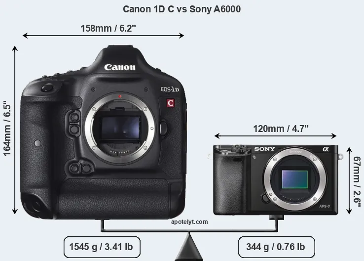 Size Canon 1D C vs Sony A6000