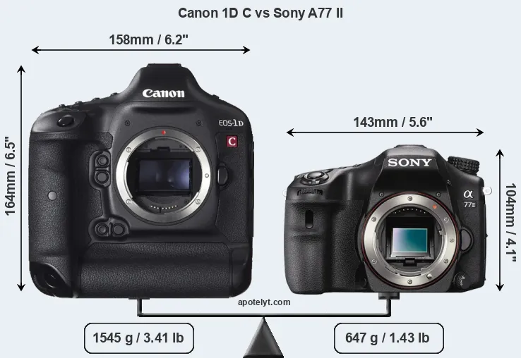 Size Canon 1D C vs Sony A77 II