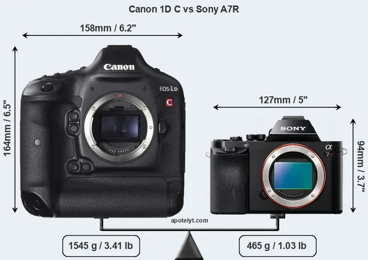 Size Canon 1D C vs Sony A7R