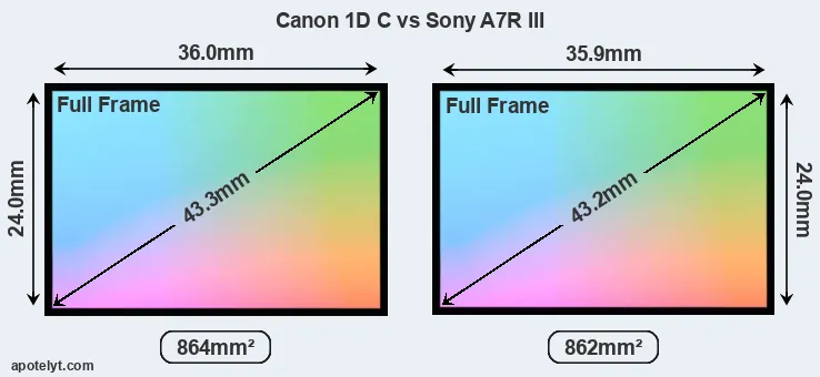 Canon 1D C and Sony A7R III sensor measures