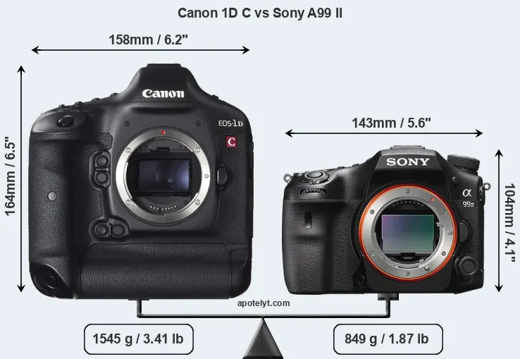 Size Canon 1D C vs Sony A99 II