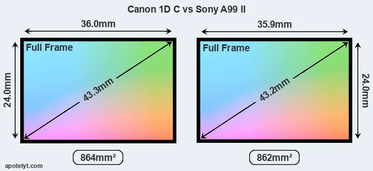 Canon 1D C and Sony A99 II sensor measures