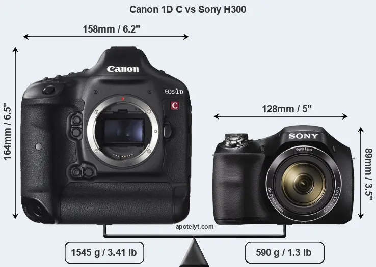 Size Canon 1D C vs Sony H300