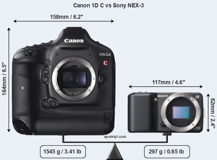 Size Canon 1D C vs Sony NEX-3