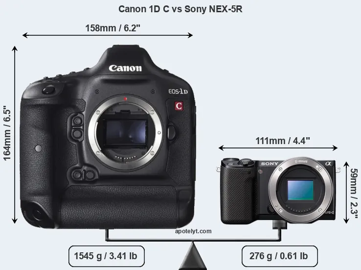 Size Canon 1D C vs Sony NEX-5R